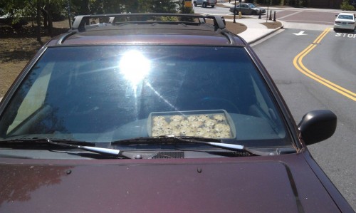 hornoxe.com_picdump266_130