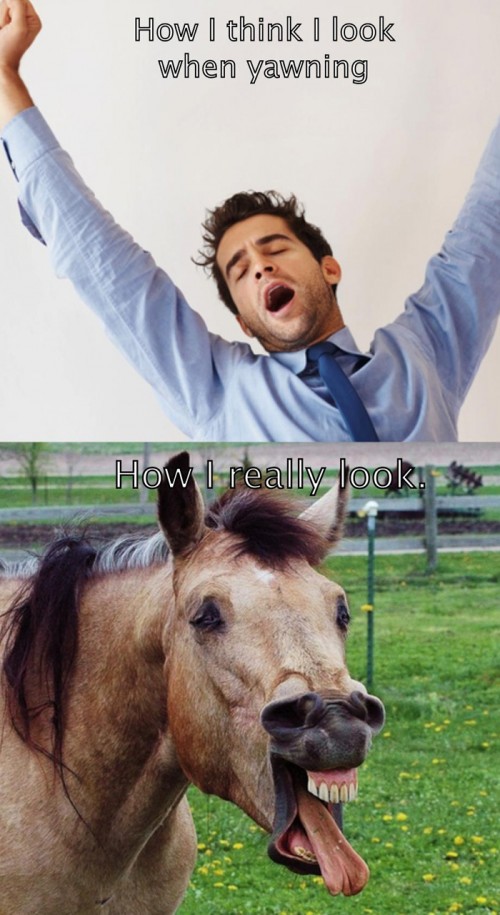 hornoxe.com_picdump267_050