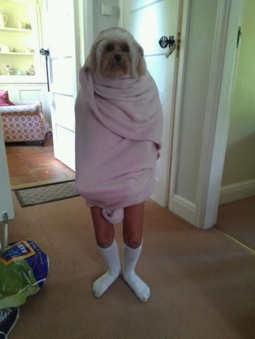 hornoxe.com_picdump267_053