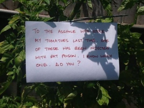 hornoxe.com_picdump267_073