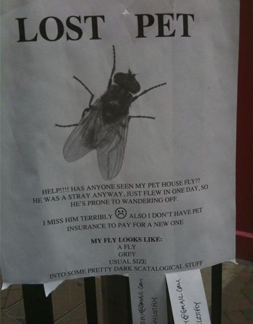 hornoxe.com_picdump267_087