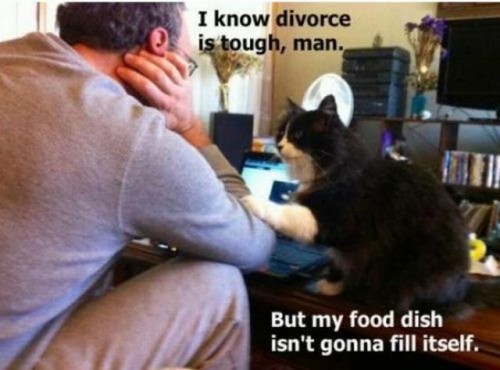 hornoxe.com_picdump267_119