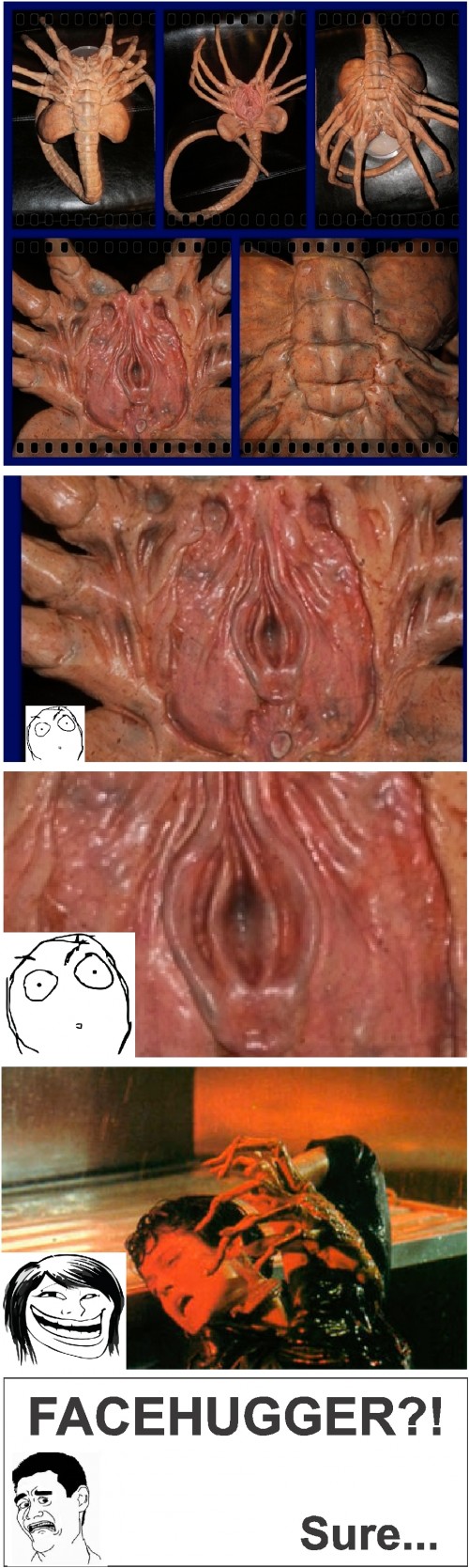 hornoxe.com_picdump267_125