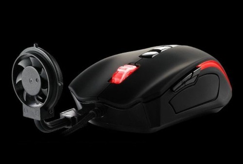 hornoxe.com_picdump267_132