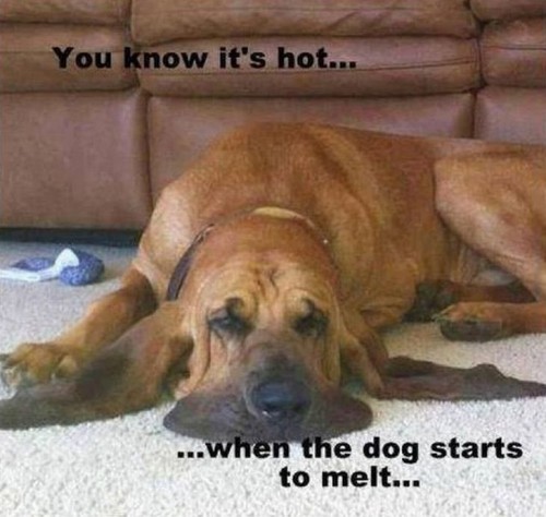 hornoxe.com_picdump267_134