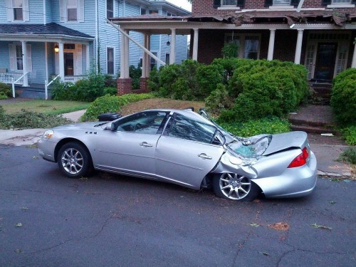 PUBLISHED by catsmob.com