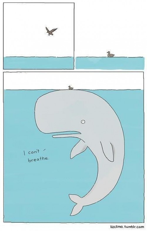 hornoxe.com_picdump267_143