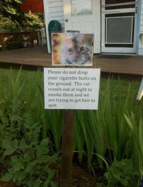 hornoxe.com_picdump267_144