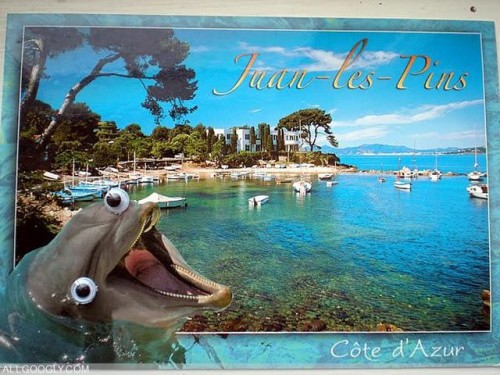 hornoxe.com_picdump267_146