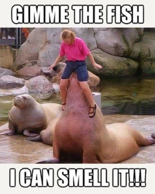 hornoxe.com_picdump269_020