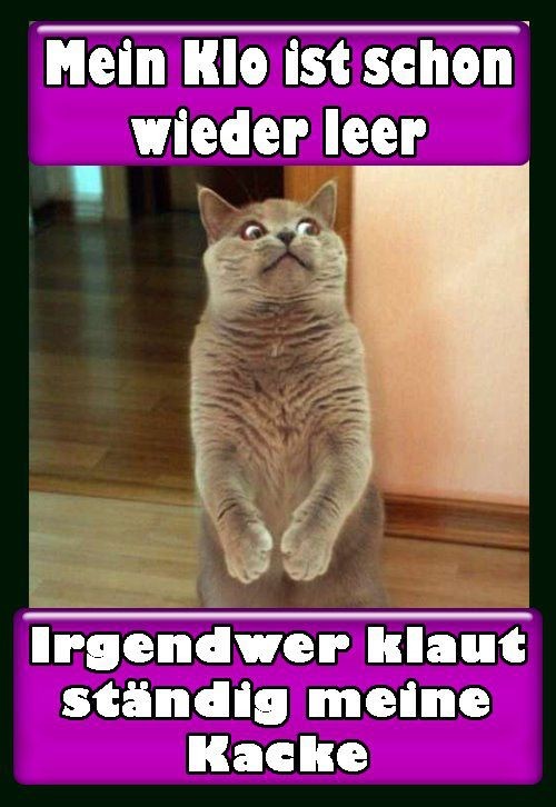 hornoxe.com_picdump269_033