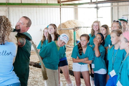 hornoxe.com_picdump269_088