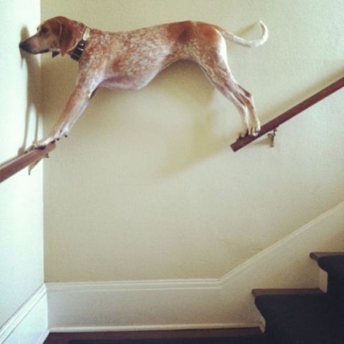 hornoxe.com_picdump269_108