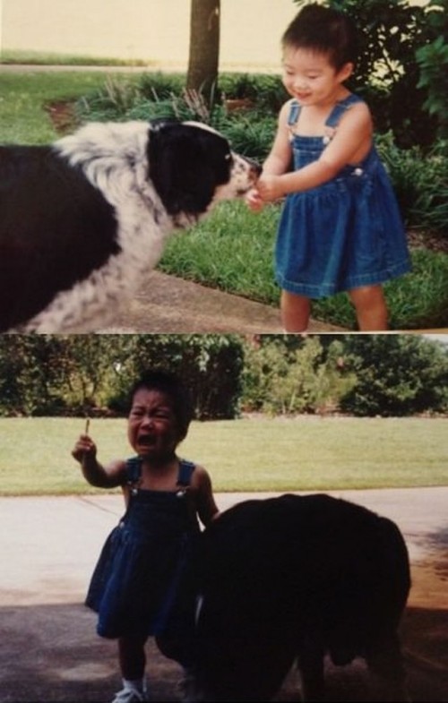 hornoxe.com_picdump270_074