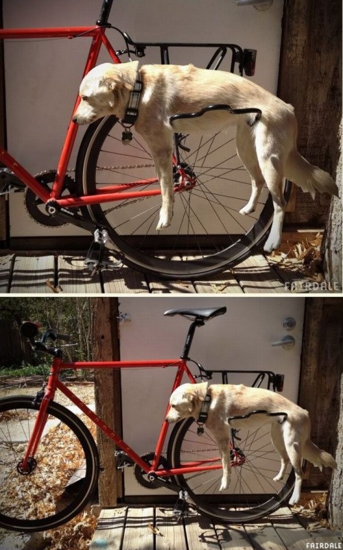 hornoxe.com_picdump270_075