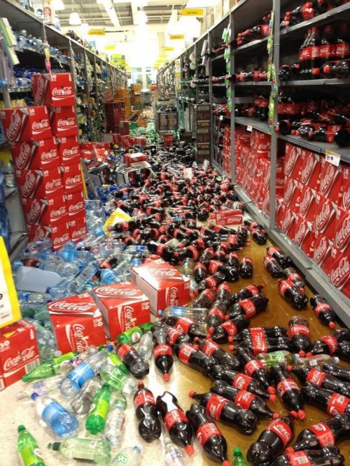 Catsmob.com - The coolest pics on the net!