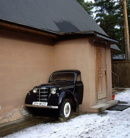 Catsmob.com - The coolest pics on the net!