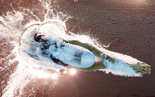 hornoxe.com_picdump270_103