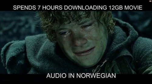 hornoxe.com_picdump270_112