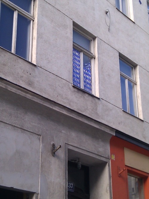 hornoxe.com_picdump270_124