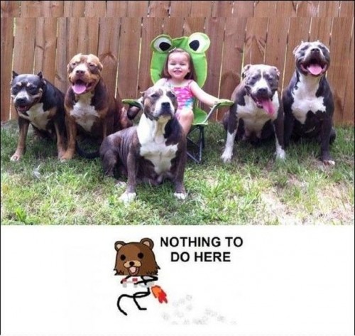 hornoxe.com_picdump270_147