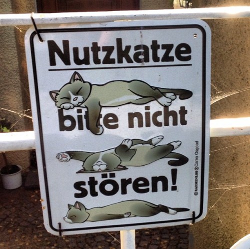 hornoxe.com_picdump270_149