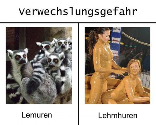 hornoxe.com_picdump271_004