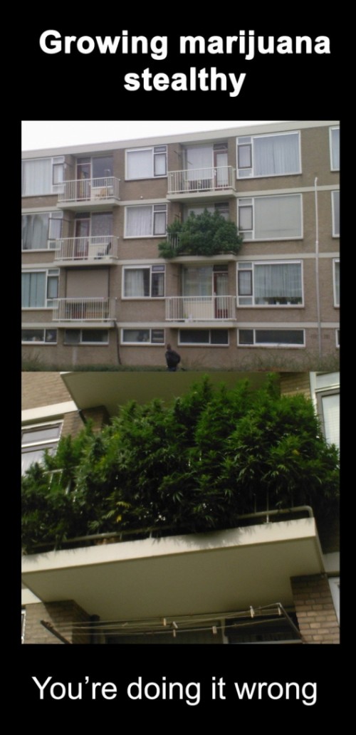 hornoxe.com_picdump271_009