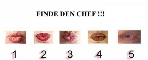 hornoxe.com_picdump271_021