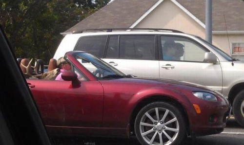 hornoxe.com_picdump271_022