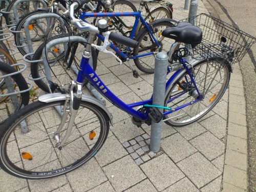 hornoxe.com_picdump271_024