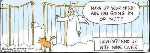 hornoxe.com_picdump271_050