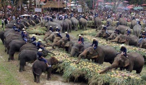 hornoxe.com_picdump271_069