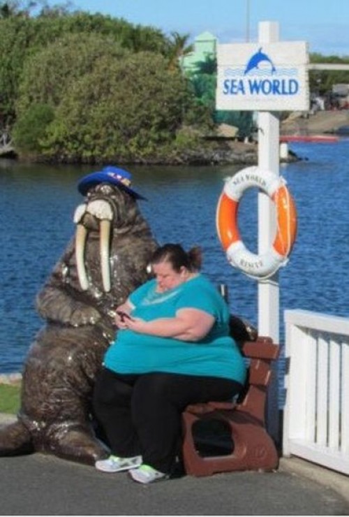 hornoxe.com_picdump271_076