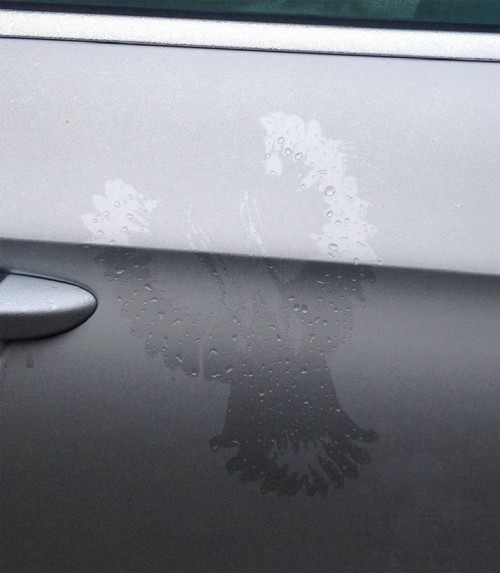 hornoxe.com_picdump271_103