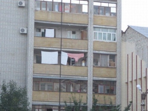 hornoxe.com_picdump271_108