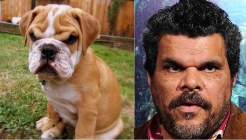 hornoxe.com_picdump271_109