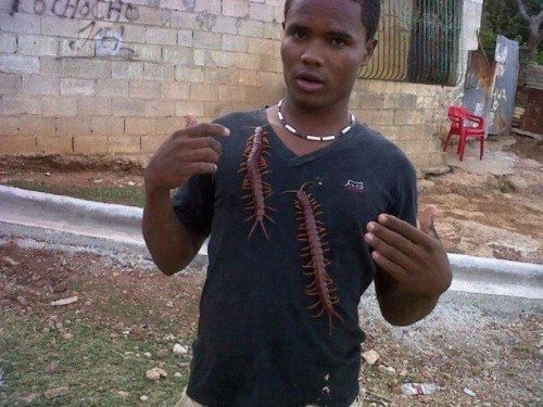 Catsmob.com - The coolest pics on the net!