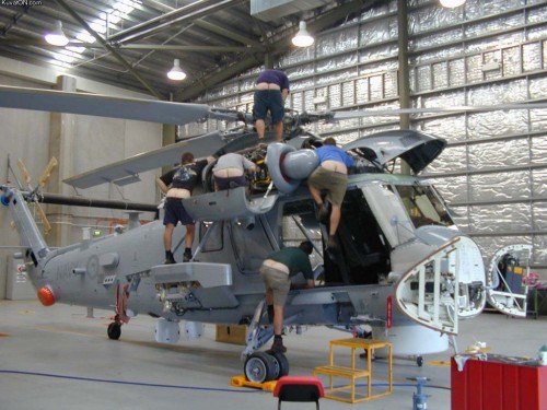 hornoxe.com_picdump272_036