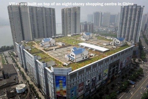 hornoxe.com_picdump272_073