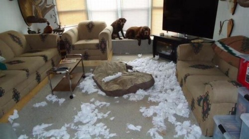 hornoxe.com_picdump272_082