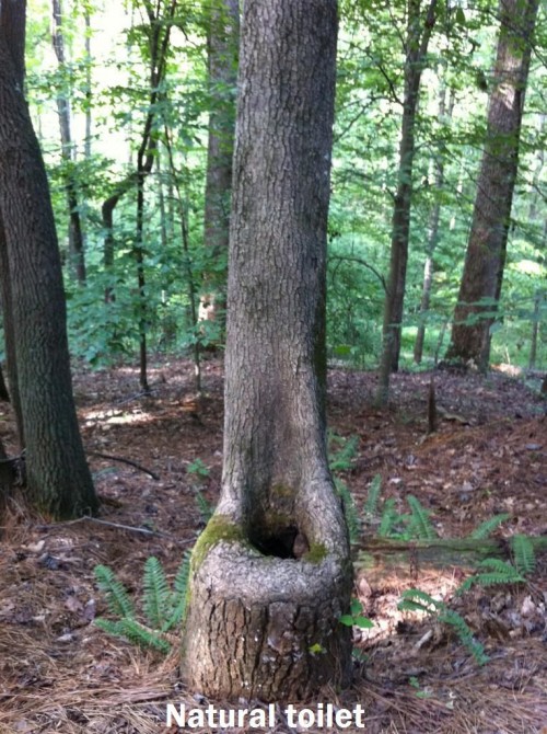 hornoxe.com_picdump272_089