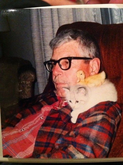 hornoxe.com_picdump272_093