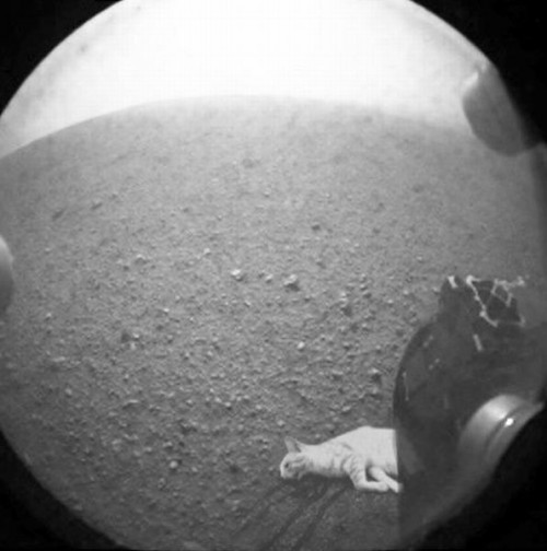 hornoxe.com_picdump272_102