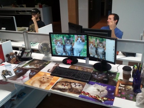 hornoxe.com_picdump272_106