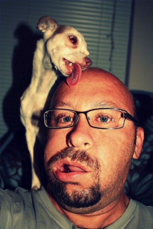 hornoxe.com_picdump272_114