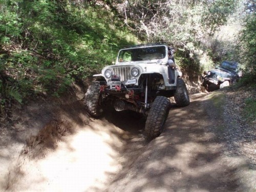 hornoxe.com_picdump272_132