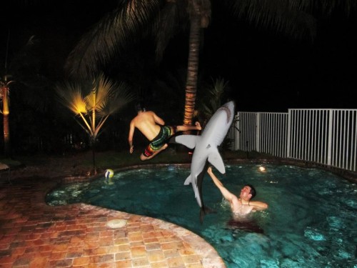 hornoxe.com_picdump272_144