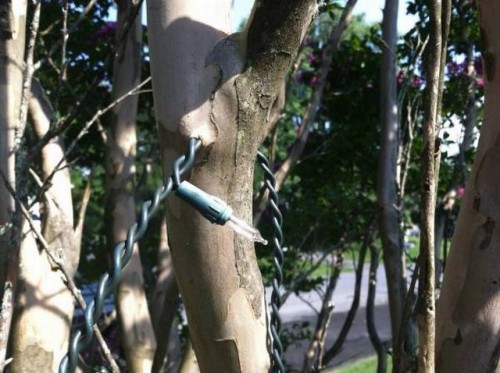 hornoxe.com_picdump273_057