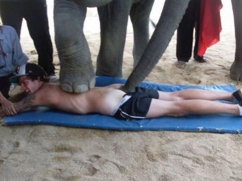 Catsmob.com - The coolest pics on the net!